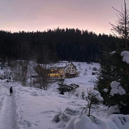 Le Perchoir, Gite 7 Personnes, Le Grand Valtin Ban-sur-Meurthe-Clefcy Екстериор снимка