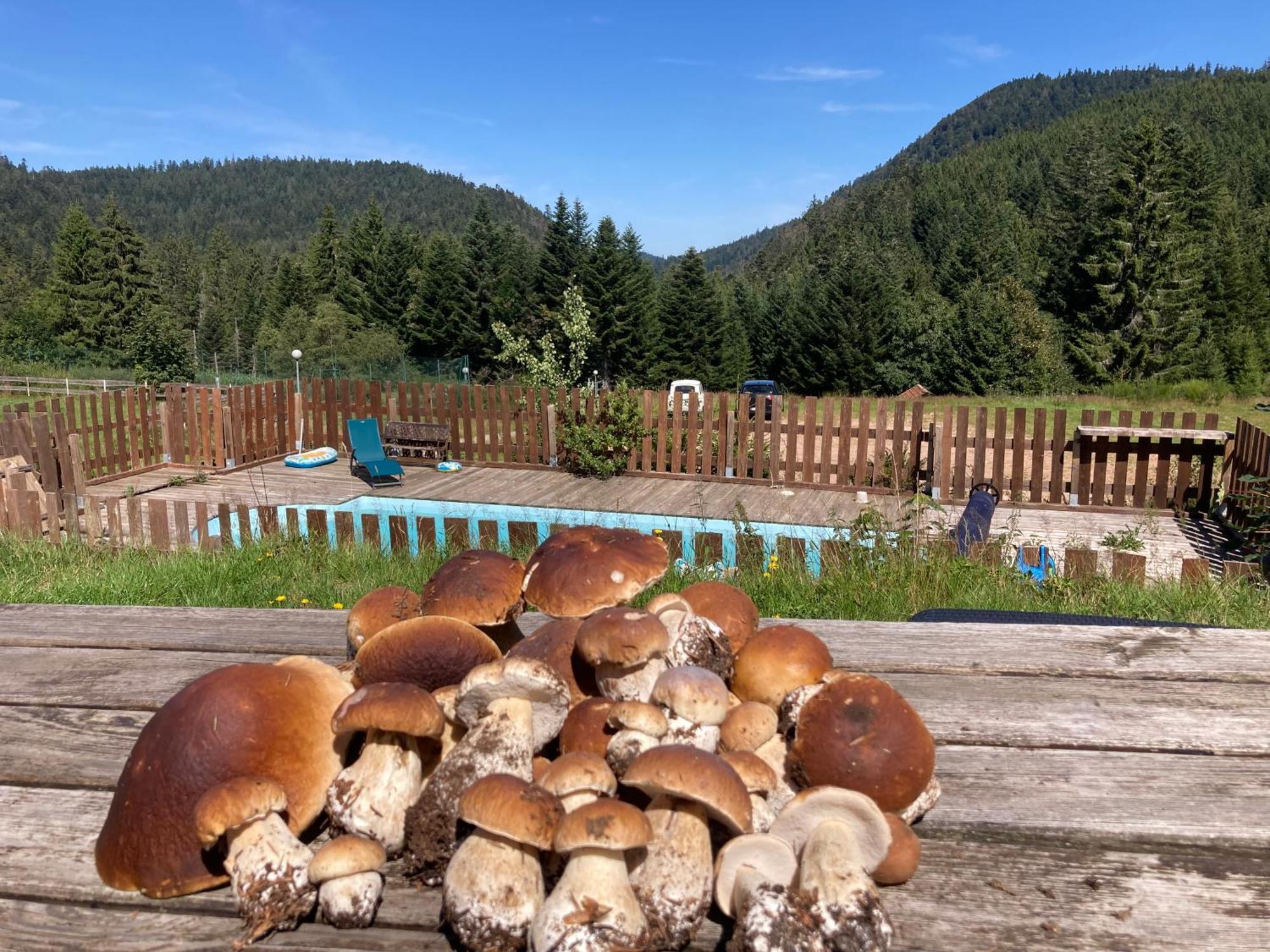 Le Perchoir, Gite 7 Personnes, Le Grand Valtin Ban-sur-Meurthe-Clefcy Екстериор снимка