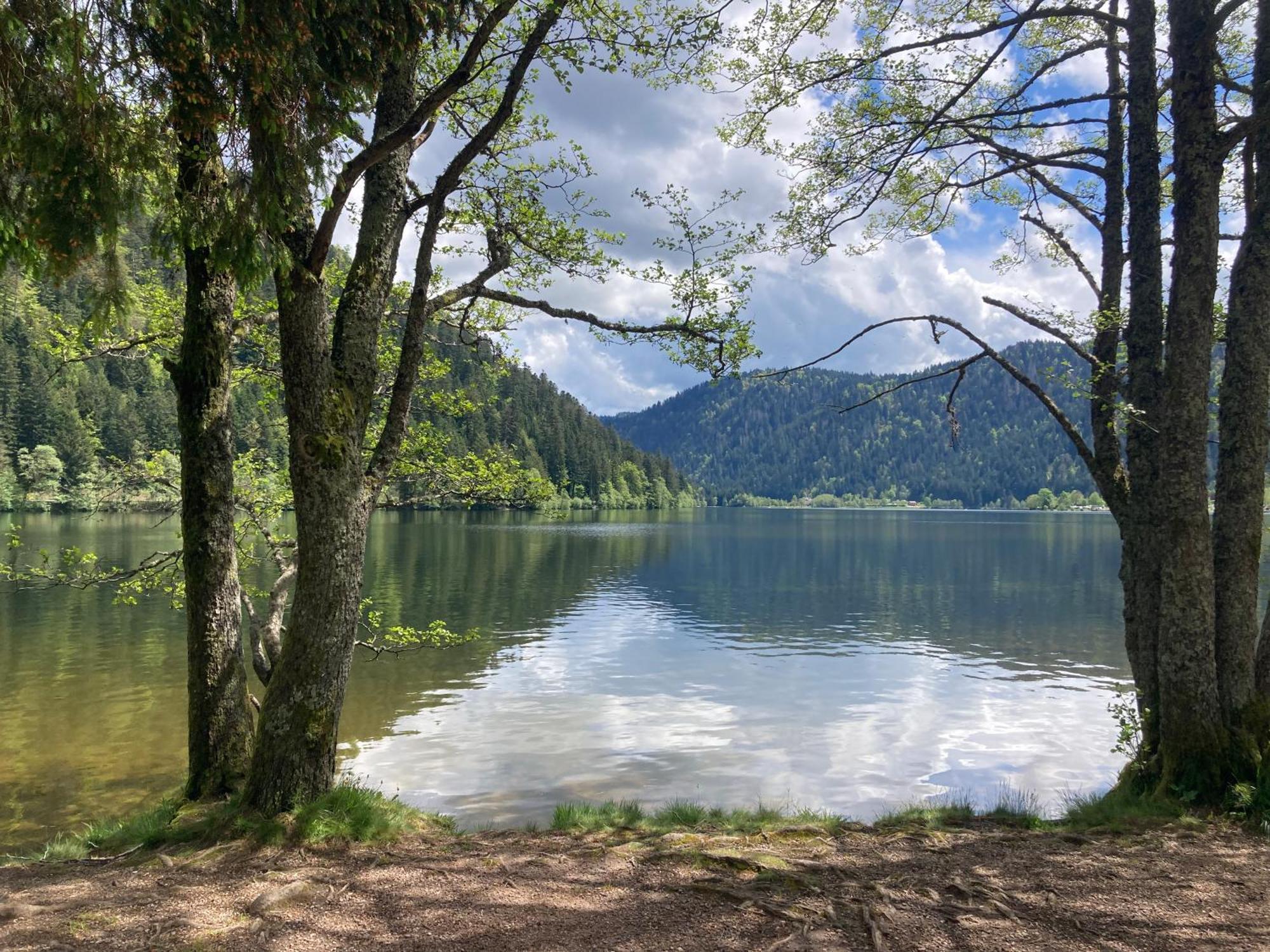 Le Perchoir, Gite 7 Personnes, Le Grand Valtin Ban-sur-Meurthe-Clefcy Екстериор снимка