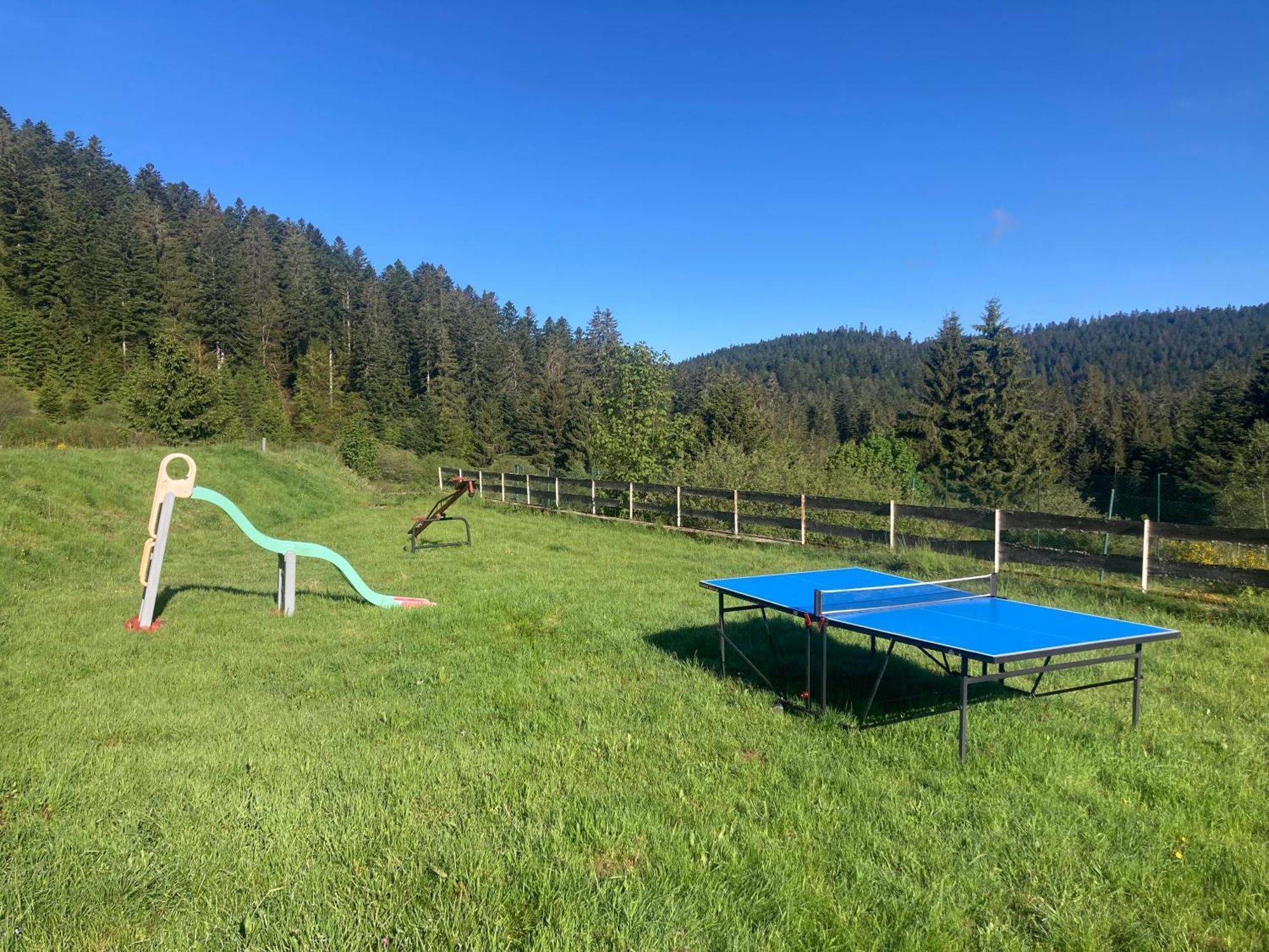 Le Perchoir, Gite 7 Personnes, Le Grand Valtin Ban-sur-Meurthe-Clefcy Екстериор снимка